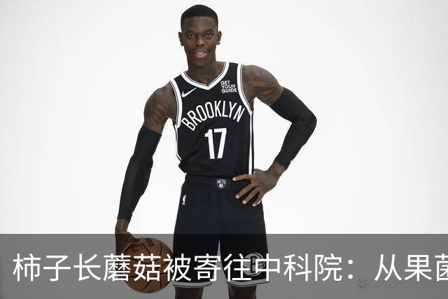 柿子长蘑菇被寄往中科院：从果菌王到好柿多蘑的全民科研
